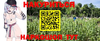 PSILOCYBIN Краснознаменск